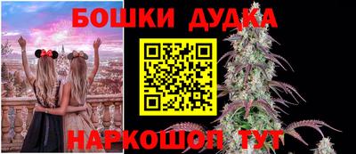 не бодяженный Кингисепп