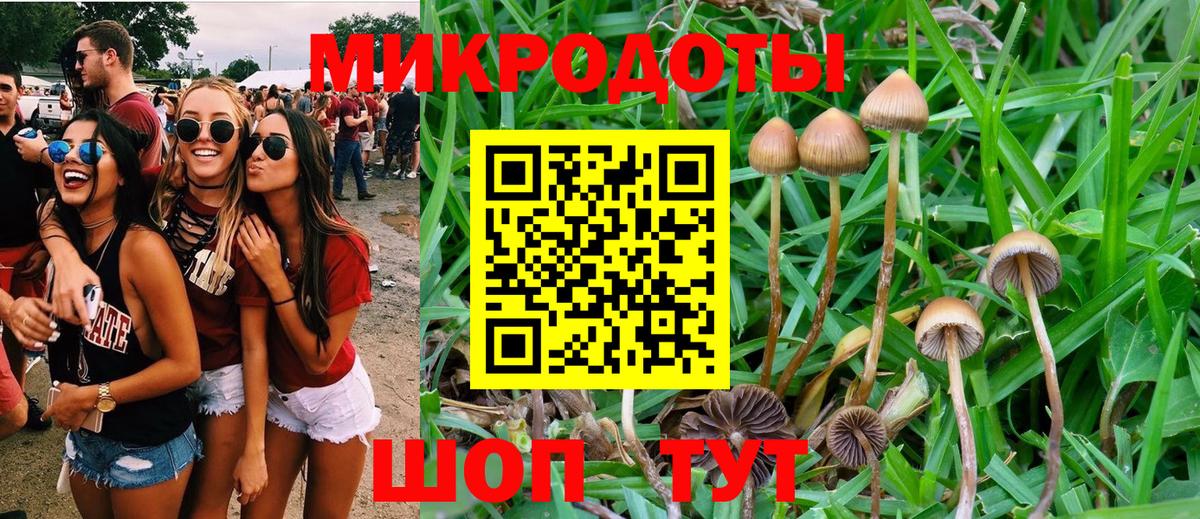 продажа наркотиков  Псилоцибиновые грибы Cubensis  Вход с VPN  Комсомольск-на-Амуре 